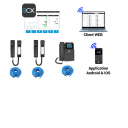 [BAIEXTVOIP00] Option téléphonie IP pour baie VDI